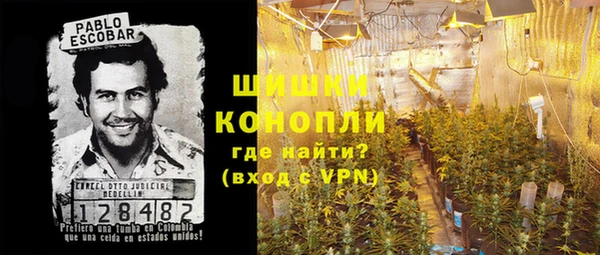 стафф Ельня