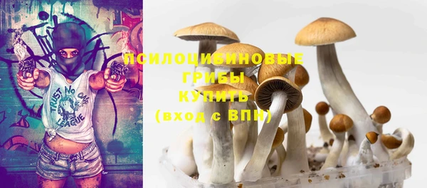 тгк Алексеевка